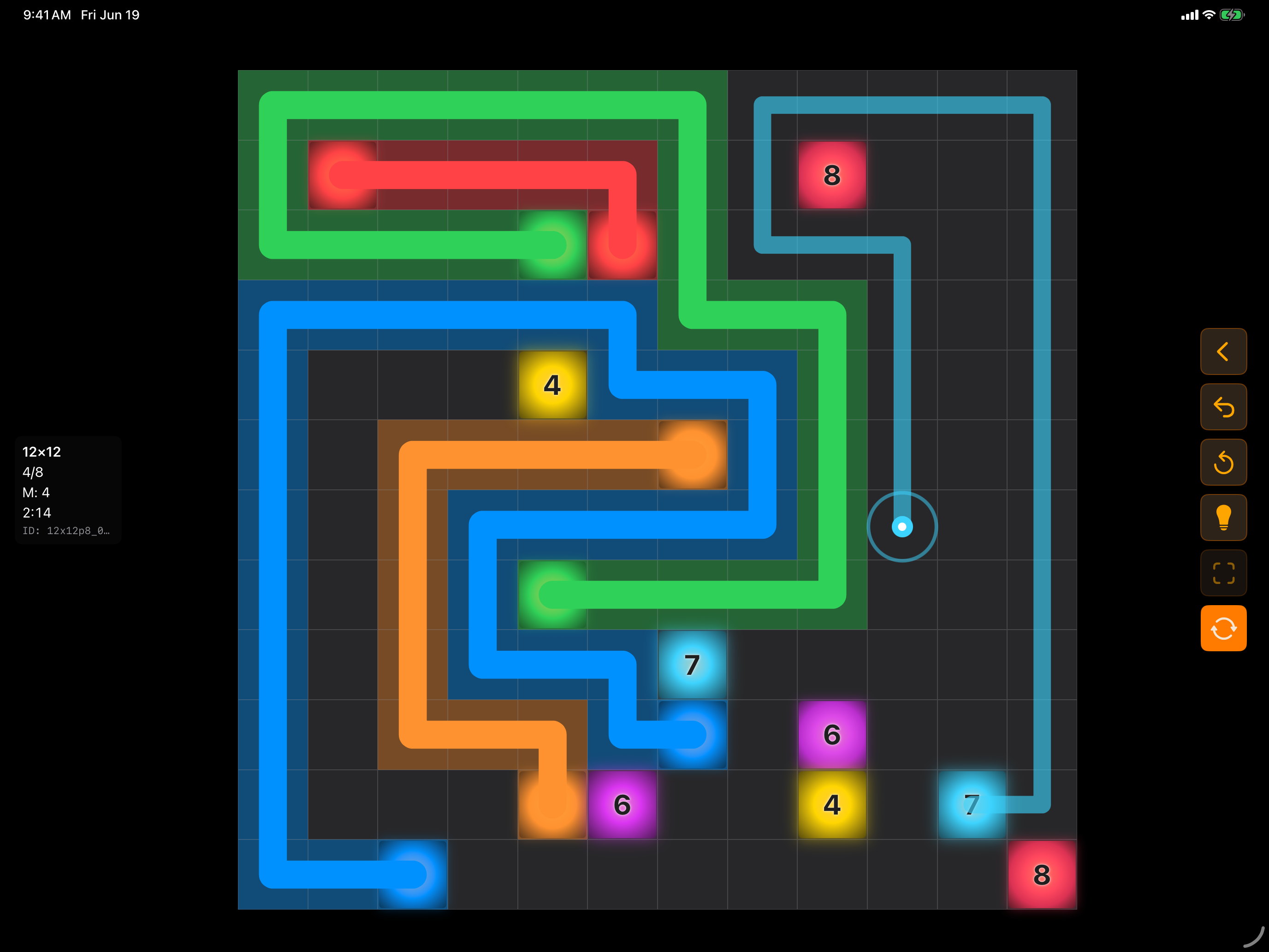 A large puzzle on iPad in landscape, paths drawn with Apple Pencil